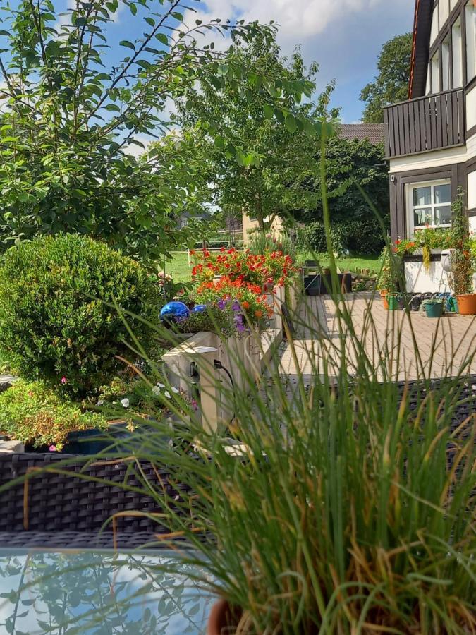 Landidylle Mit Garten, Whirlpool Und Klima Reken Exteriér fotografie